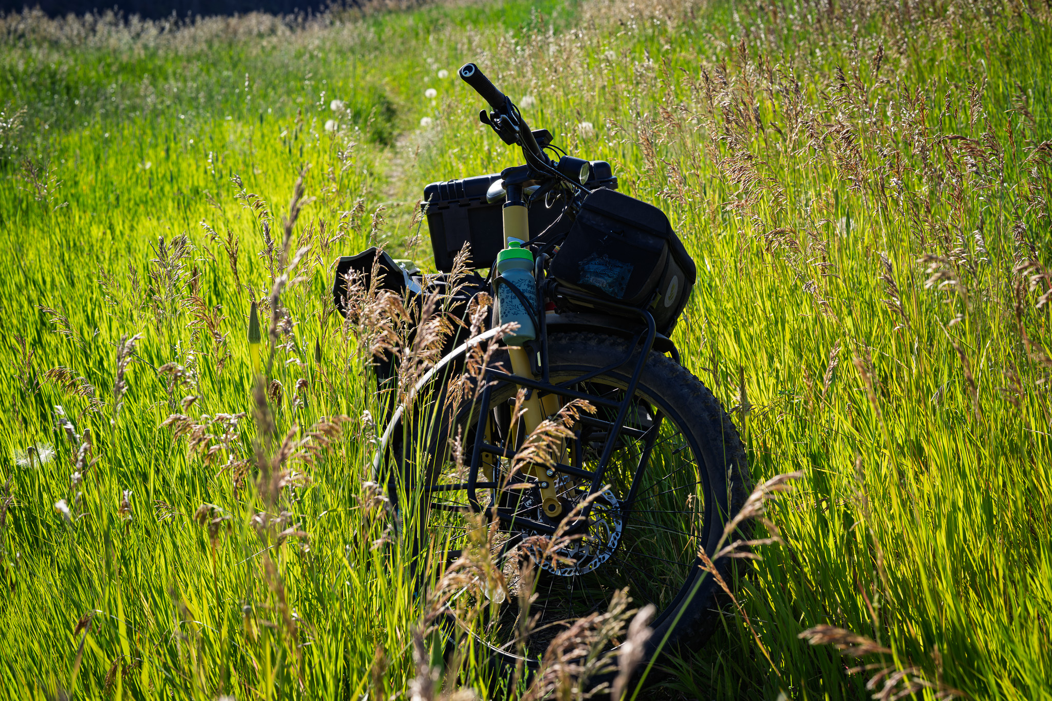 Swap the SUV for an e-bike and bring your binoculars: birding by bike is the stealthy, eco-smart upgrade your outdoor game needs. The Tern Orox hauls gear, glides quietly, and gets you deeper into the wild.
