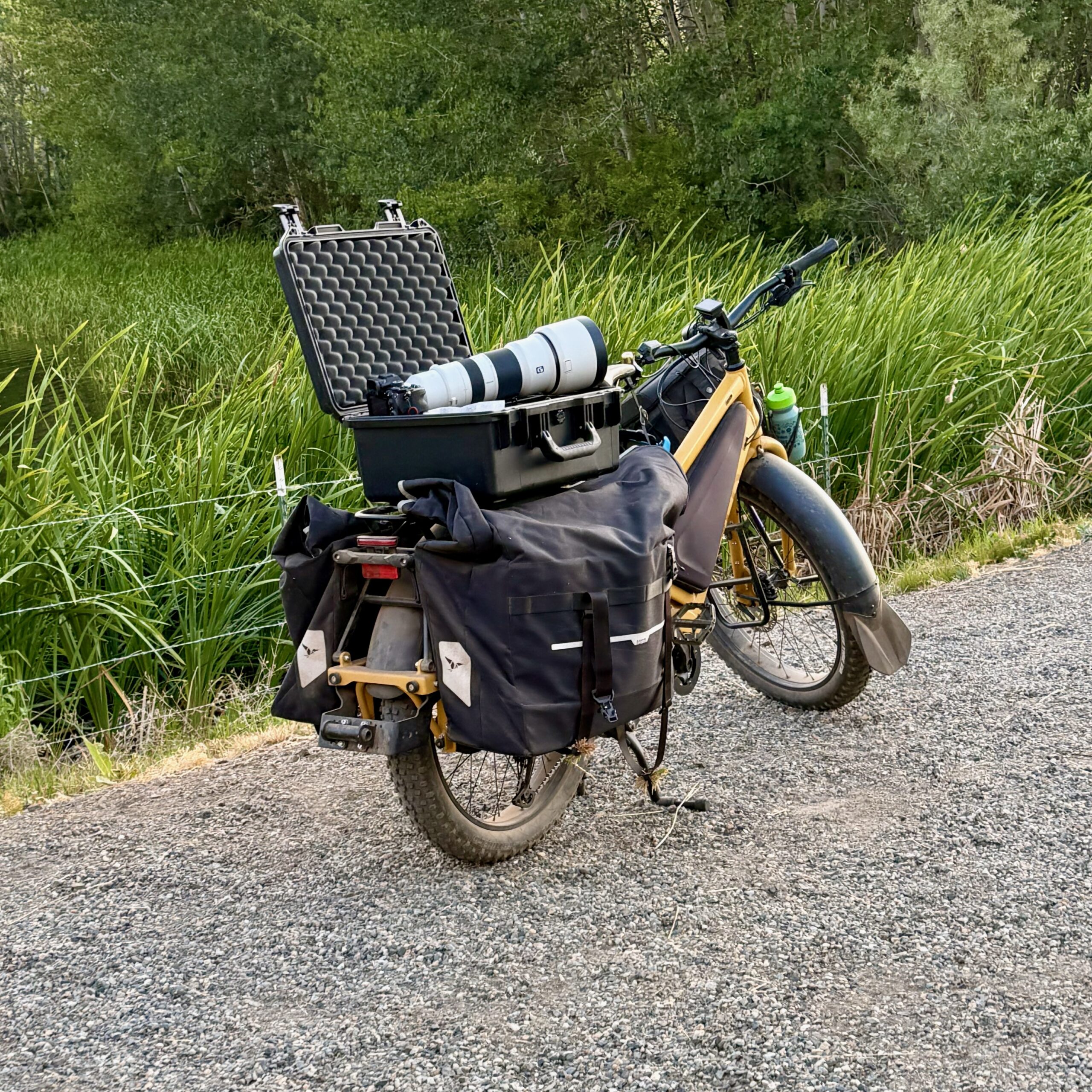 Birding by bike with the Tern Orox and Sony kit.
