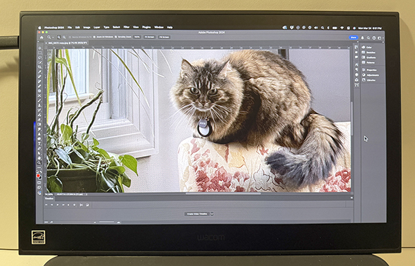 A photo of the Wacom Movink 13 Pen Display in use