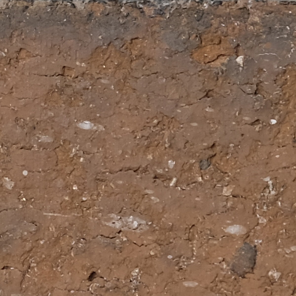 Fujinon XF 80mm f/2.8 R LM OIS WR Review: Field Test -- Sharpness Test Image