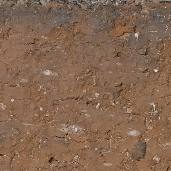 Fujinon XF 80mm f/2.8 R LM OIS WR Review: Field Test -- Sharpness Test Image