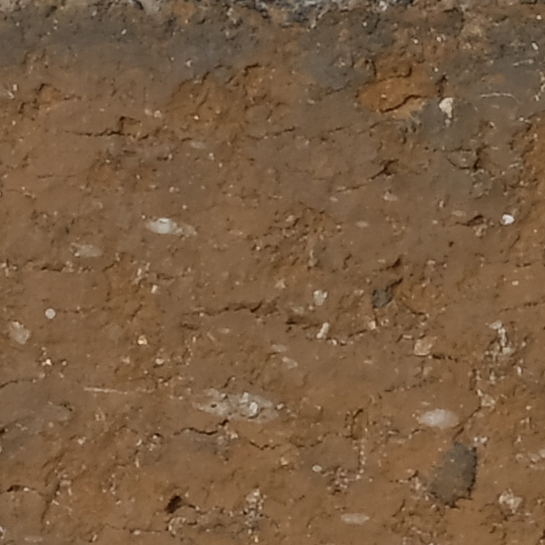 Fujinon XF 80mm f/2.8 R LM OIS WR Review: Field Test -- Sharpness Test Image