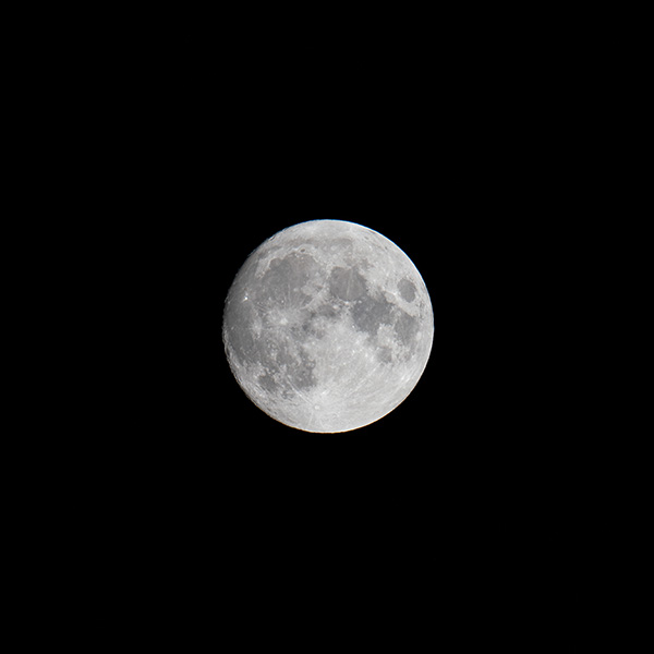 Sigma 150-600mm f/5-6.3 DG DN OS Sports Review: Field Test -- Gallery Image