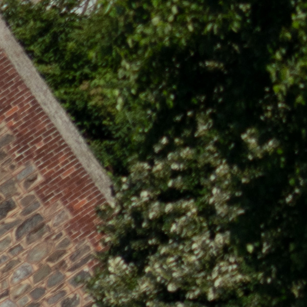 Sigma 150-600mm f/5-6.3 DG DN OS Sports Review: Field Test -- Gallery Image