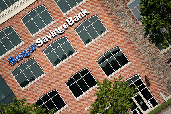 Sigma 150-600mm f/5-6.3 DG DN OS Sports Review: Field Test -- Gallery Image