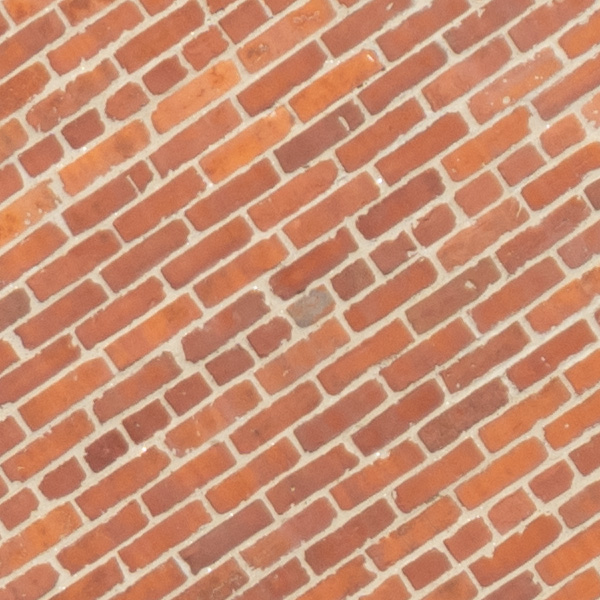 Sigma 150-600mm f/5-6.3 DG DN OS Sports Review: Field Test -- Gallery Image