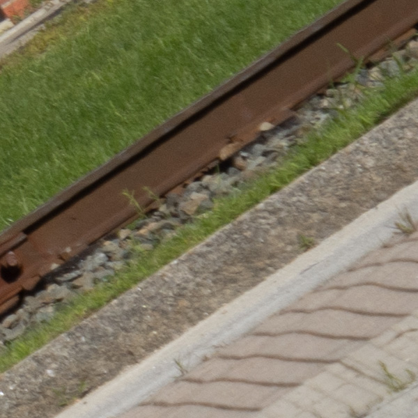 Sigma 150-600mm f/5-6.3 DG DN OS Sports Review: Field Test -- Gallery Image