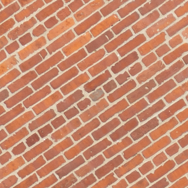 Sigma 150-600mm f/5-6.3 DG DN OS Sports Review: Field Test -- Gallery Image